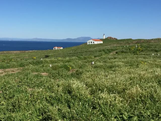 Grassy terrace overlooking ocean, two buildings and lighthouse.
