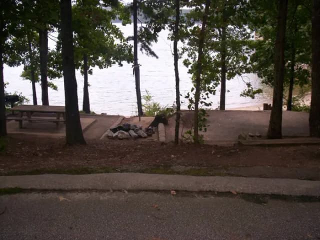 Long flat site, water view, picnic table.