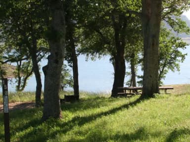 Chamise Sites 145-161 · Site 158 at Tuttletown Recreation Area