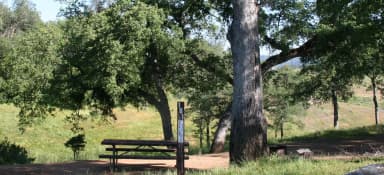 Chamise Sites 145-161 · Site 161 at Tuttletown Recreation Area