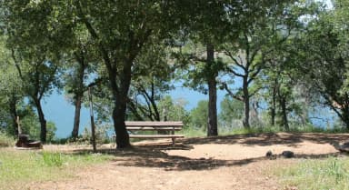 Ironhorse 8-22, 70-79 · Site 079 at Glory Hole Recreation Area