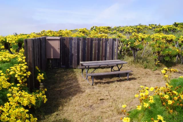 Wood picnic table and five-foot windbreak surrounded by yellow flowering plant.