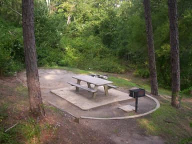 Loop SAWN · Site 15 at Sawnee