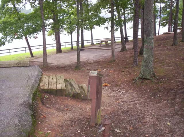 Dirt path, flat site