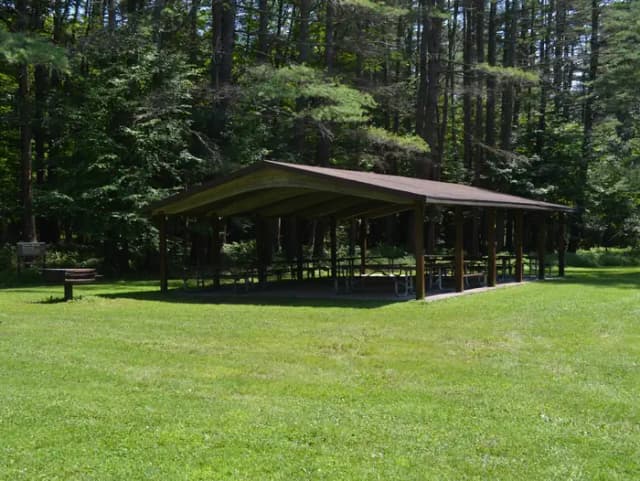 Pine shelter, and lawn area with grill and picnic tables at Otter Brook Lake