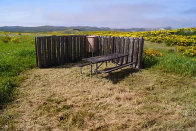 Picnic table and windbreak surrounded by grass and yellow flowered plant.