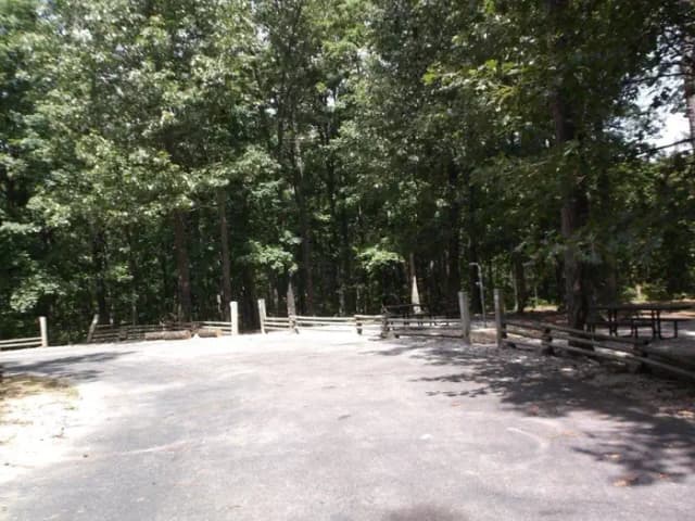Group Site 1