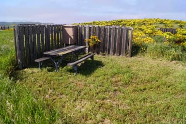 Picnic table and windbreak surrounded by grass and yellow flowered plant.