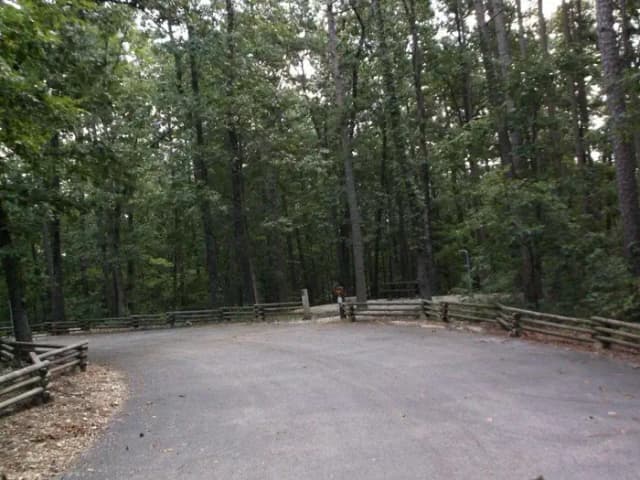 Loop D · Site 039 at Cobb Ridge