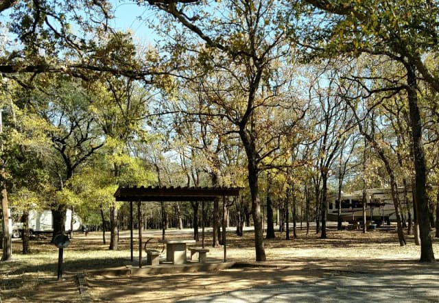 Site #19