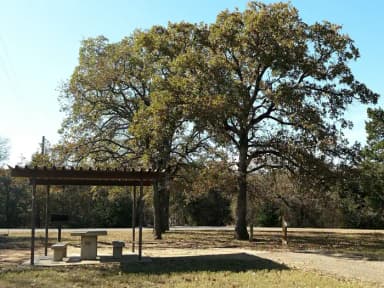Site #8