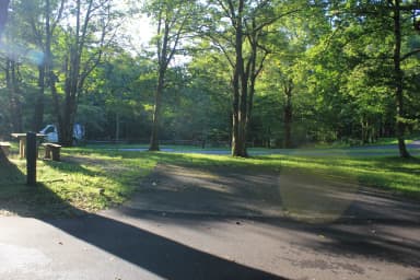 A Loop Site 7 - Nonelectric, filed by the agency against 2 campsites at Doughton Park Campground
