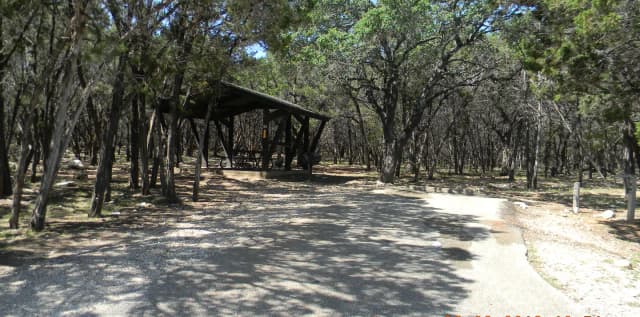 Site 54