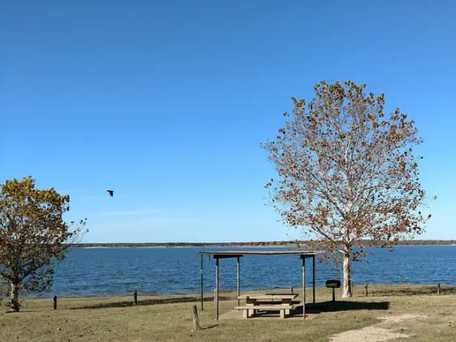 SITE #51