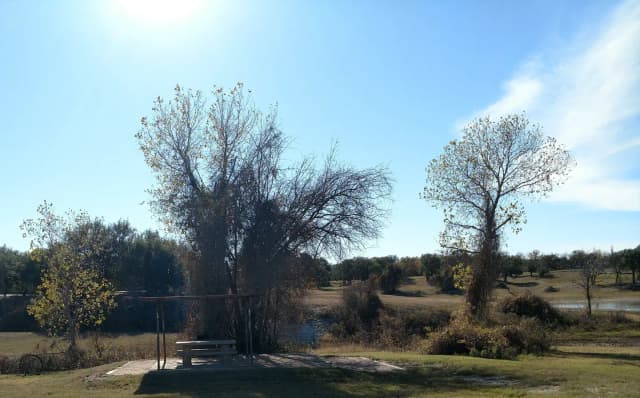 Site #55