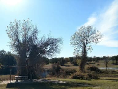 SITE #55