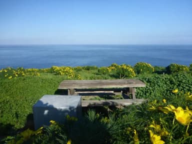 Campsite with picnic table on ocean bluff.
