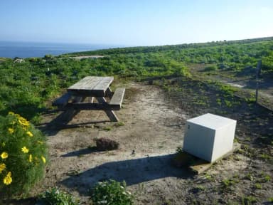 Picnic table and food storage box surrounded by bushes overlooking ocean.