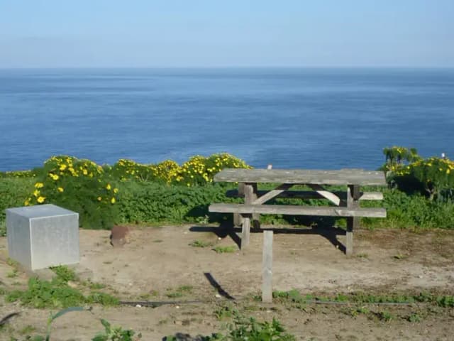 Picnic table and food storage box surrounded by low bushes and grass overlooking ocean.