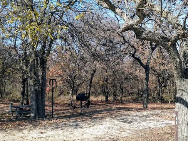 SITE #77