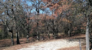Site #78