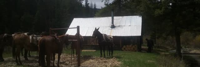 Site 01 at Twogood Cabin