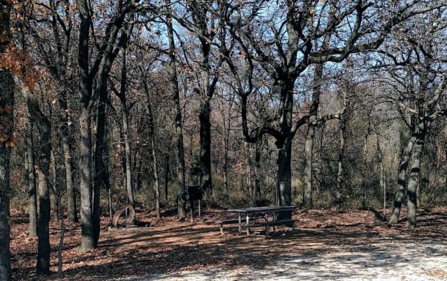Site #79