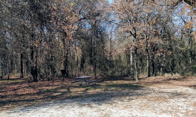 Site #80