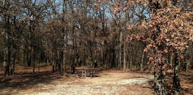 Site #82