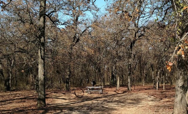 Site #84