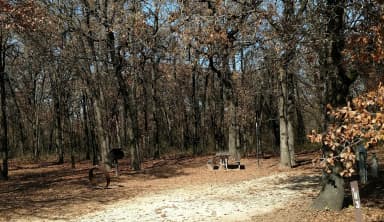 Site #83