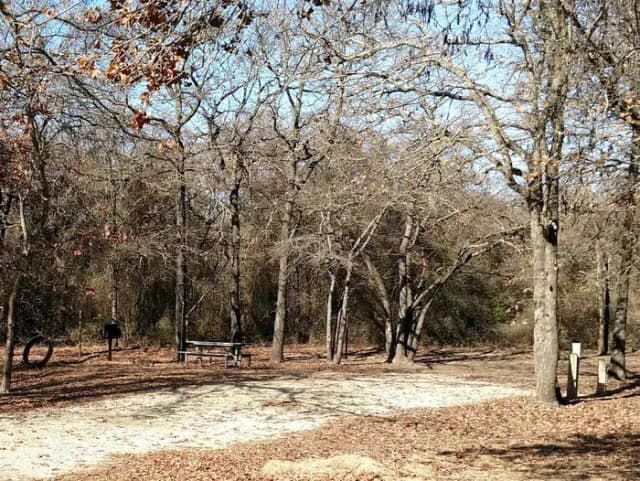 SITE #87