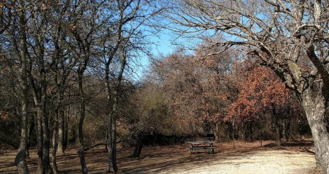 Site #86