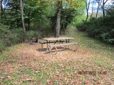 Loft Mountain Campground - Site 1