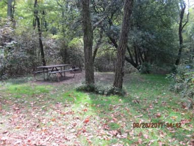 Loft Mountain Campground - Site 2