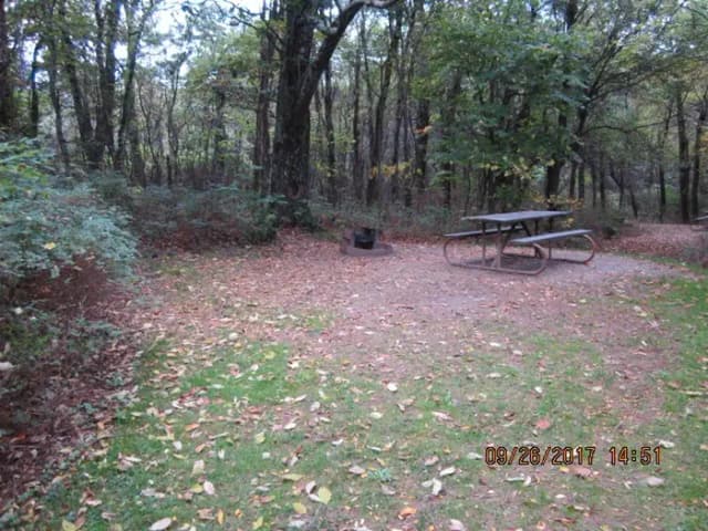 A photo of Site 004 of Loop Upper Loop at Loft Mountain Campground with Picnic Table, Fire Pit, Shade