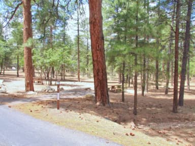 Parking spot and picnic table surrounded by trees in Mather Campground