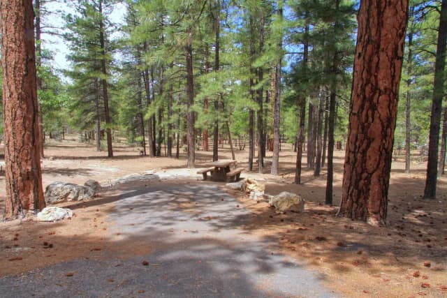 Parking spot and picnic table surrounded by trees in Mather Campground