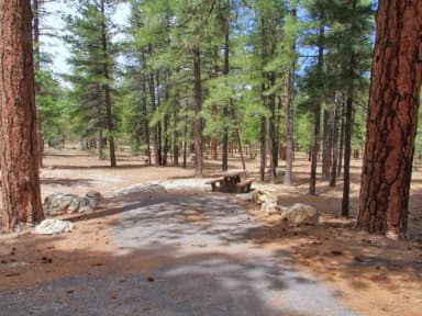 Parking spot and picnic table surrounded by trees in Mather Campground