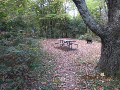 Loft Mountain Campground - Site 7