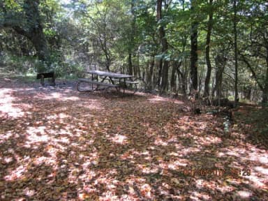 Loft Mountain Campground - Site 8