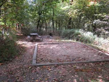 Loft Mountain Campground - Site 9