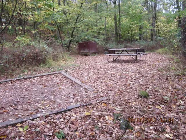 Loft Mountain Campground - Site 10