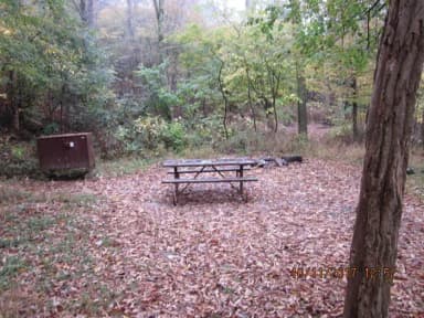 Loft Mountain Campground - Site 11