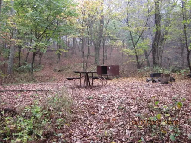 Loft Mountain Campground - Site 13