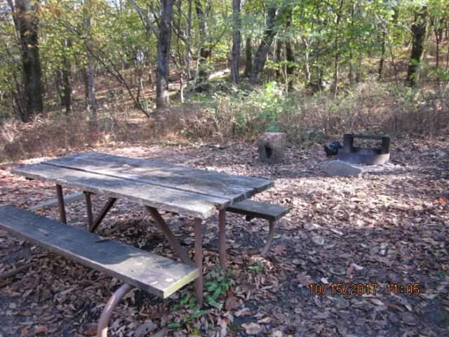 Loft Mountain Campground - Site 15