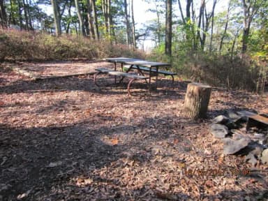 Loft Mountain Campground - Site 16