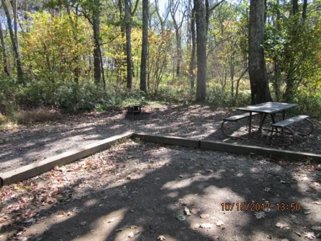 Loft Mountain Campground - Site 20