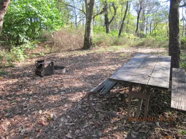 Loft Mountain Campground - Site 22