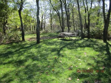 Loft Mountain Campground - Site 24